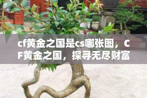 cf黄金之国是cs哪张图,CF黄金之国,探寻无尽财富与荣耀的秘境 cf黄金之国是cs哪张图,CF黄金之国,探寻无尽财富与荣耀的秘境