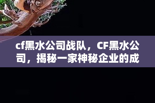cf黑水公司战队,CF黑水公司,揭秘一家神秘企业的成功之路 cf黑水公司战队,CF黑水公司,揭秘一家神秘企业的成功之路