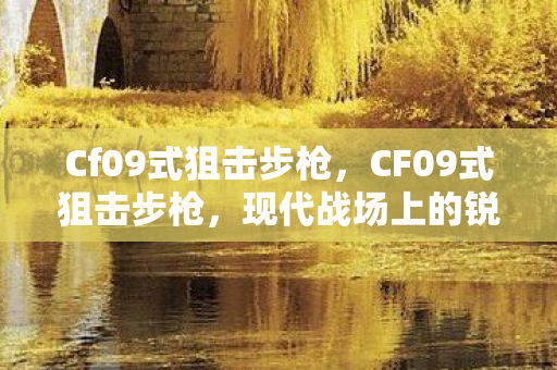 Cf09式狙击步枪，CF09式狙击步枪，现代战场上的锐利之眼