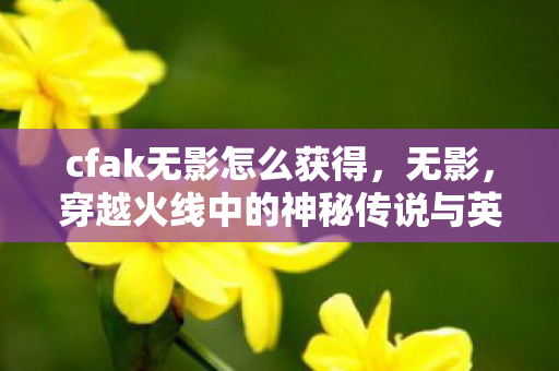 cfak无影怎么获得,无影,穿越火线中的神秘传说与英雄之路 cfak无影怎么获得,无影,穿越火线中的神秘传说与英雄之路