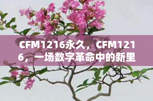 CFM1216永久,CFM1216,一场数字革命中的新里程碑 CFM1216永久,CFM1216,一场数字革命中的新里程碑