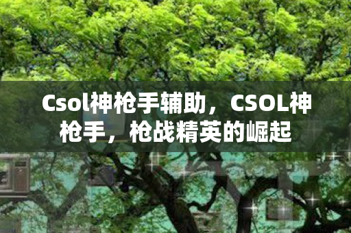 Csol神枪手辅助,CSOL神枪手,枪战精英的崛起 Csol神枪手辅助,CSOL神枪手,枪战精英的崛起