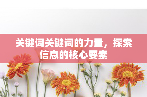 关键词关键词的力量,探索信息的核心要素 关键词关键词的力量,探索信息的核心要素