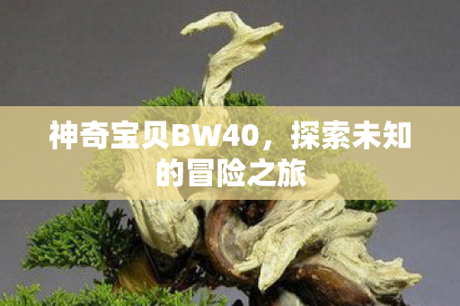 神奇宝贝BW40,探索未知的冒险之旅 神奇宝贝BW40,探索未知的冒险之旅