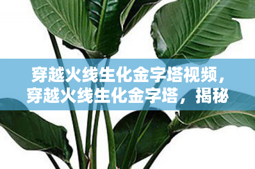 穿越火线生化金字塔视频，穿越火线生化金字塔，揭秘背后的故事与挑战