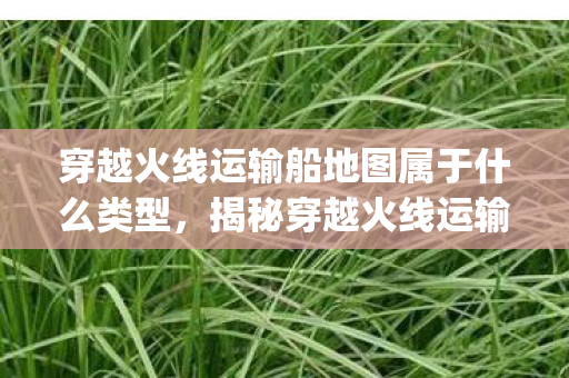 穿越火线运输船地图属于什么类型,揭秘穿越火线运输船中的神秘Bug 穿越火线运输船地图属于什么类型,揭秘穿越火线运输船中的神秘Bug