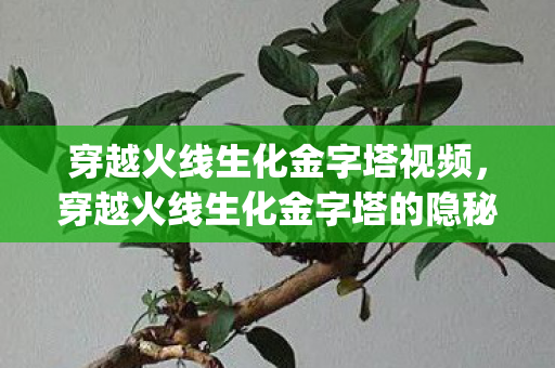 穿越火线生化金字塔视频,穿越火线生化金字塔的隐秘Bug 穿越火线生化金字塔视频,穿越火线生化金字塔的隐秘Bug