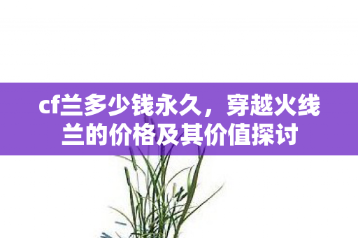 cf兰多少钱永久，穿越火线兰的价格及其价值探讨
