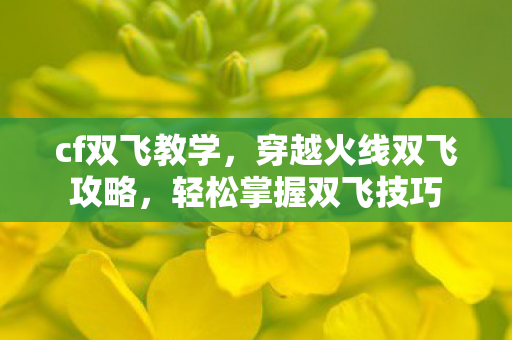cf双飞教学，穿越火线双飞攻略，轻松掌握双飞技巧