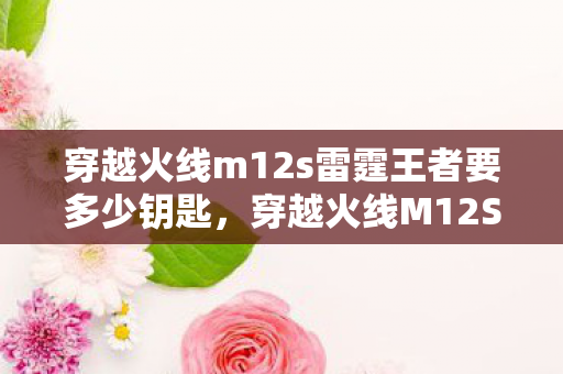 穿越火线m12s雷霆王者要多少钥匙,穿越火线M12S,经典再现的魅力与独特之处 穿越火线m12s雷霆王者要多少钥匙,穿越火线M12S,经典再现的魅力与独特之处