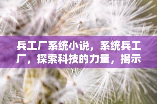 兵工厂系统小说,系统兵工厂,探索科技的力量,揭示未来的秘密 兵工厂系统小说,系统兵工厂,探索科技的力量,揭示未来的秘密