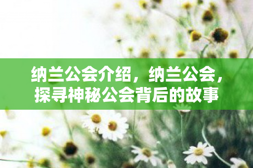 纳兰公会介绍,纳兰公会,探寻神秘公会背后的故事 纳兰公会介绍,纳兰公会,探寻神秘公会背后的故事