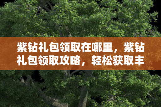 紫钻礼包领取在哪里,紫钻礼包领取攻略,轻松获取丰厚奖励! 紫钻礼包领取在哪里,紫钻礼包领取攻略,轻松获取丰厚奖励!