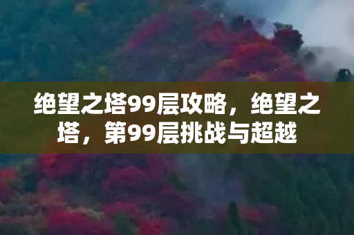 绝望之塔99层攻略，绝望之塔，第99层挑战与超越