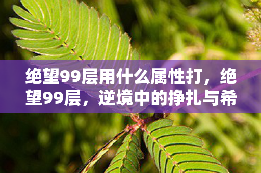 绝望99层用什么属性打，绝望99层，逆境中的挣扎与希望之光