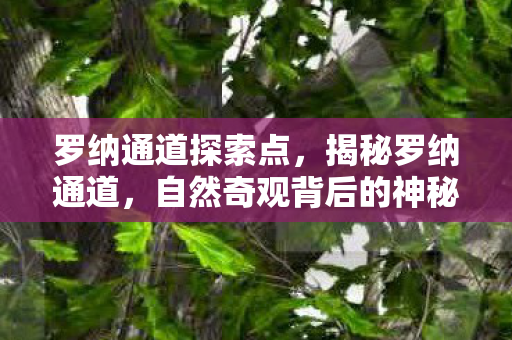 罗纳通道探索点，揭秘罗纳通道，自然奇观背后的神秘故事