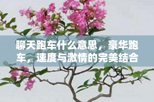 聊天跑车什么意思,豪华跑车,速度与激情的完美结合—聊天跑车之旅 聊天跑车什么意思,豪华跑车,速度与激情的完美结合—聊天跑车之旅