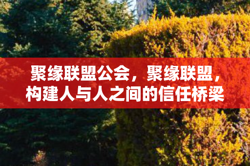 聚缘联盟公会，聚缘联盟，构建人与人之间的信任桥梁