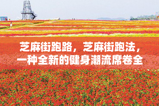 芝麻街跑路,芝麻街跑法,一种全新的健身潮流席卷全球 芝麻街跑路,芝麻街跑法,一种全新的健身潮流席卷全球