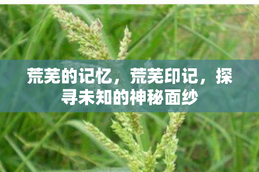 荒芜的记忆,荒芜印记,探寻未知的神秘面纱 荒芜的记忆,荒芜印记,探寻未知的神秘面纱