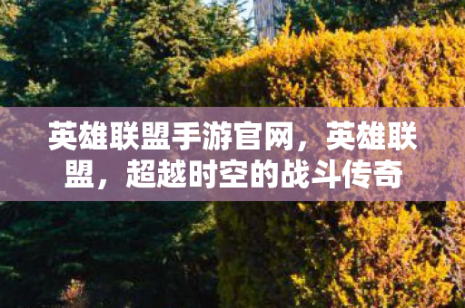 英雄联盟手游官网，英雄联盟，超越时空的战斗传奇