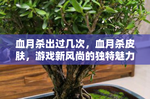 血月杀出过几次，血月杀皮肤，游戏新风尚的独特魅力