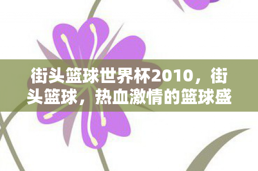 街头篮球世界杯2010,街头篮球,热血激情的篮球盛宴—世界杯2011纪实 街头篮球世界杯2010,街头篮球,热血激情的篮球盛宴—世界杯2011纪实