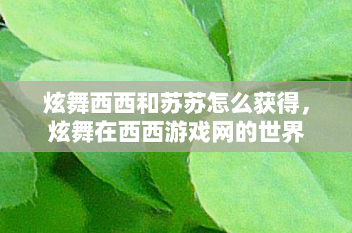 炫舞西西和苏苏怎么获得，炫舞在西西游戏网的世界