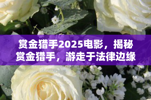 赏金猎手2025电影,揭秘赏金猎手,游走于法律边缘的冒险职业 赏金猎手2025电影,揭秘赏金猎手,游走于法律边缘的冒险职业