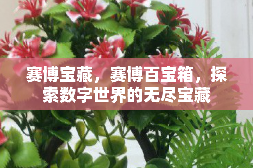赛博宝藏,赛博百宝箱,探索数字世界的无尽宝藏 赛博宝藏,赛博百宝箱,探索数字世界的无尽宝藏