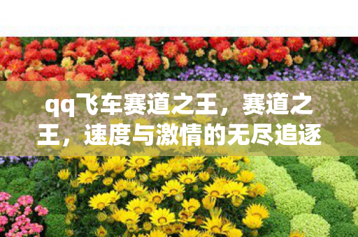 qq飞车赛道之王,赛道之王,速度与激情的无尽追逐 qq飞车赛道之王,赛道之王,速度与激情的无尽追逐