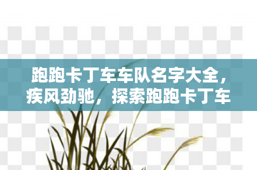 跑跑卡丁车车队名字大全,疾风劲驰,探索跑跑卡丁车车队名字背后的故事 跑跑卡丁车车队名字大全,疾风劲驰,探索跑跑卡丁车车队名字背后的故事