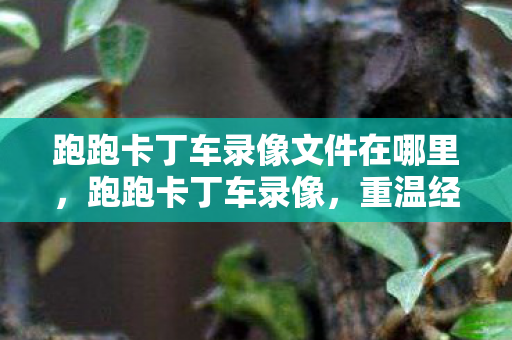 跑跑卡丁车录像文件在哪里,跑跑卡丁车录像,重温经典,感受竞速激情 跑跑卡丁车录像文件在哪里,跑跑卡丁车录像,重温经典,感受竞速激情