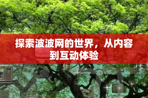 探索波波网的世界,从内容到互动体验 探索波波网的世界,从内容到互动体验