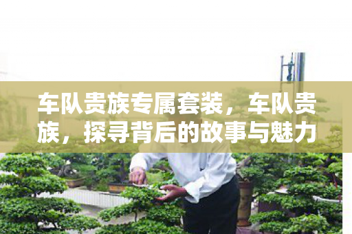 车队贵族专属套装,车队贵族,探寻背后的故事与魅力 车队贵族专属套装,车队贵族,探寻背后的故事与魅力