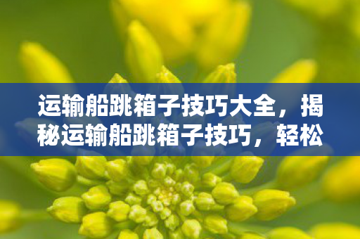 运输船跳箱子技巧大全,揭秘运输船跳箱子技巧,轻松掌握高效物流运作之道 运输船跳箱子技巧大全,揭秘运输船跳箱子技巧,轻松掌握高效物流运作之道