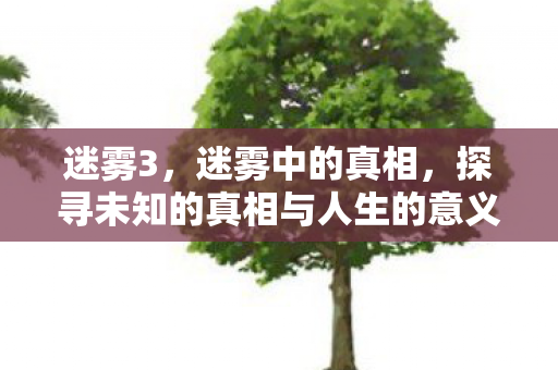 迷雾3，迷雾中的真相，探寻未知的真相与人生的意义