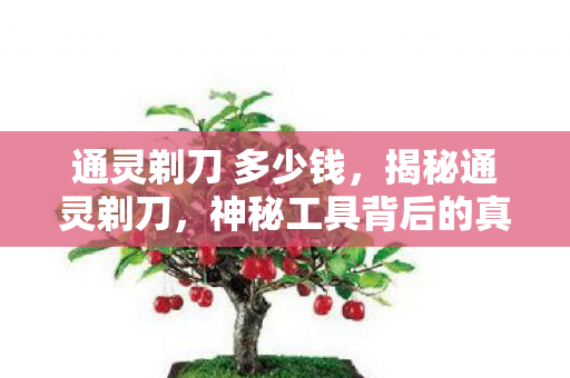 通灵剃刀 多少钱,揭秘通灵剃刀,神秘工具背后的真相 通灵剃刀 多少钱,揭秘通灵剃刀,神秘工具背后的真相