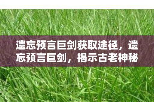 遗忘预言巨剑获取途径,遗忘预言巨剑,揭示古老神秘力量的传说之剑 遗忘预言巨剑获取途径,遗忘预言巨剑,揭示古老神秘力量的传说之剑