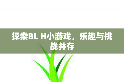 探索BL H小游戏，乐趣与挑战并存