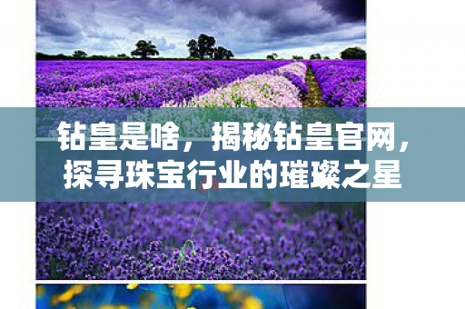 钻皇是啥，揭秘钻皇官网，探寻珠宝行业的璀璨之星