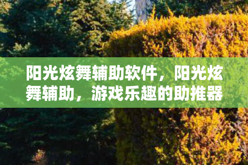 阳光炫舞辅助软件,阳光炫舞辅助,游戏乐趣的助推器 阳光炫舞辅助软件,阳光炫舞辅助,游戏乐趣的助推器
