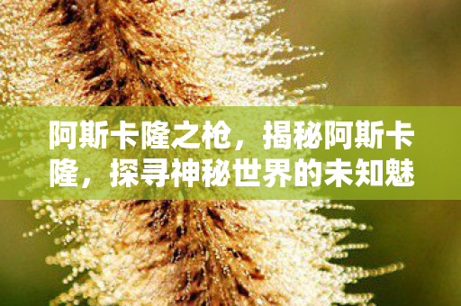 阿斯卡隆之枪，揭秘阿斯卡隆，探寻神秘世界的未知魅力