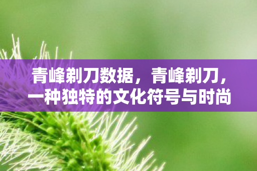 青峰剃刀数据,青峰剃刀,一种独特的文化符号与时尚潮流的交融 青峰剃刀数据,青峰剃刀,一种独特的文化符号与时尚潮流的交融