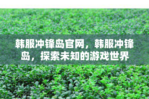 韩服冲锋岛官网，韩服冲锋岛，探索未知的游戏世界
