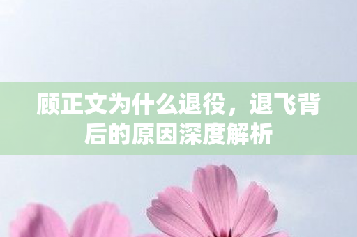 顾正文为什么退役，退飞背后的原因深度解析