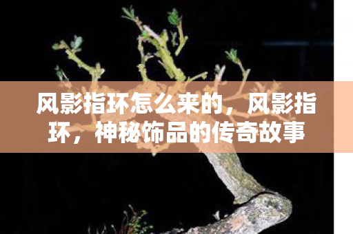 风影指环怎么来的,风影指环,神秘饰品的传奇故事 风影指环怎么来的,风影指环,神秘饰品的传奇故事
