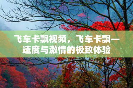 飞车卡飘视频,飞车卡飘—速度与激情的极致体验 飞车卡飘视频,飞车卡飘—速度与激情的极致体验