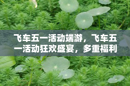 飞车五一活动端游，飞车五一活动狂欢盛宴，多重福利等你来拿！