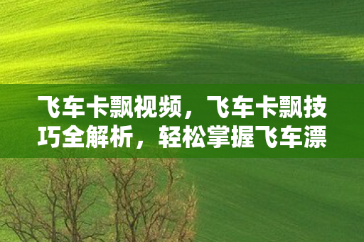 飞车卡飘视频,飞车卡飘技巧全解析,轻松掌握飞车漂移的艺术 飞车卡飘视频,飞车卡飘技巧全解析,轻松掌握飞车漂移的艺术